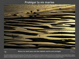 viemarine.jpg (323230 octets)